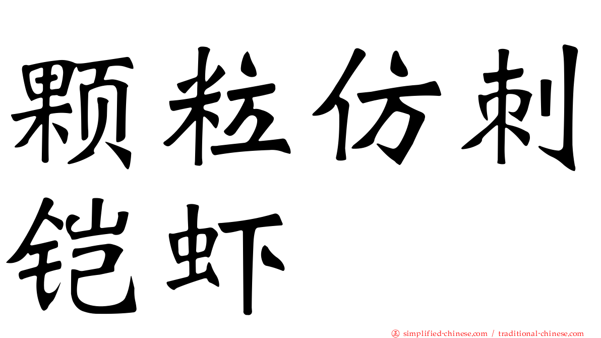 颗粒仿刺铠虾