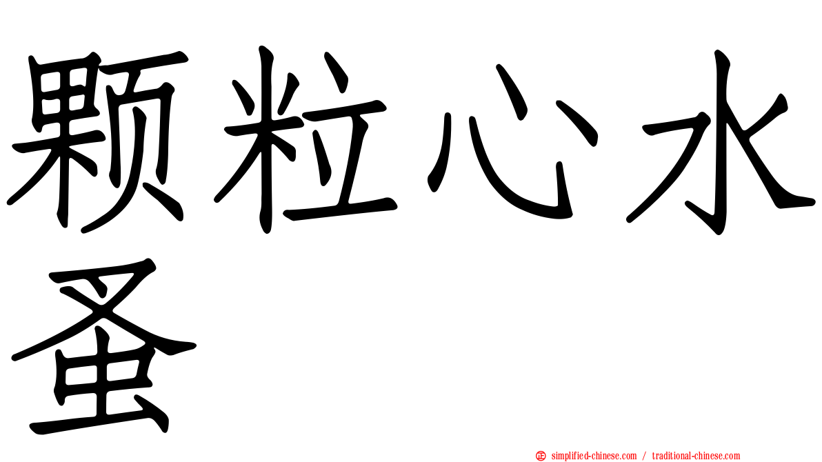 颗粒心水蚤