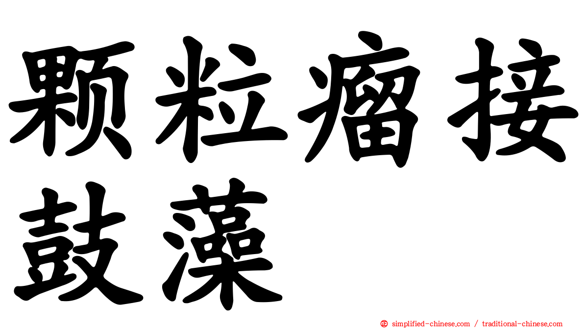 颗粒瘤接鼓藻