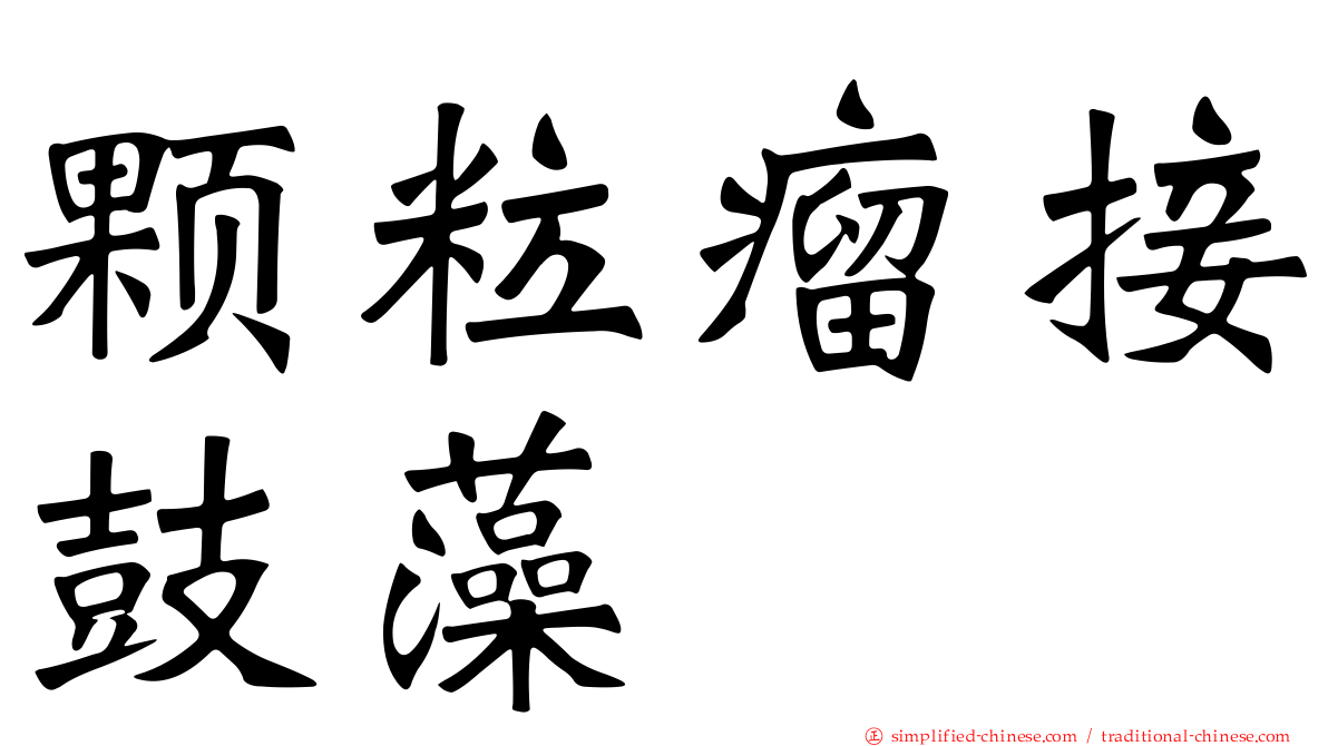 颗粒瘤接鼓藻