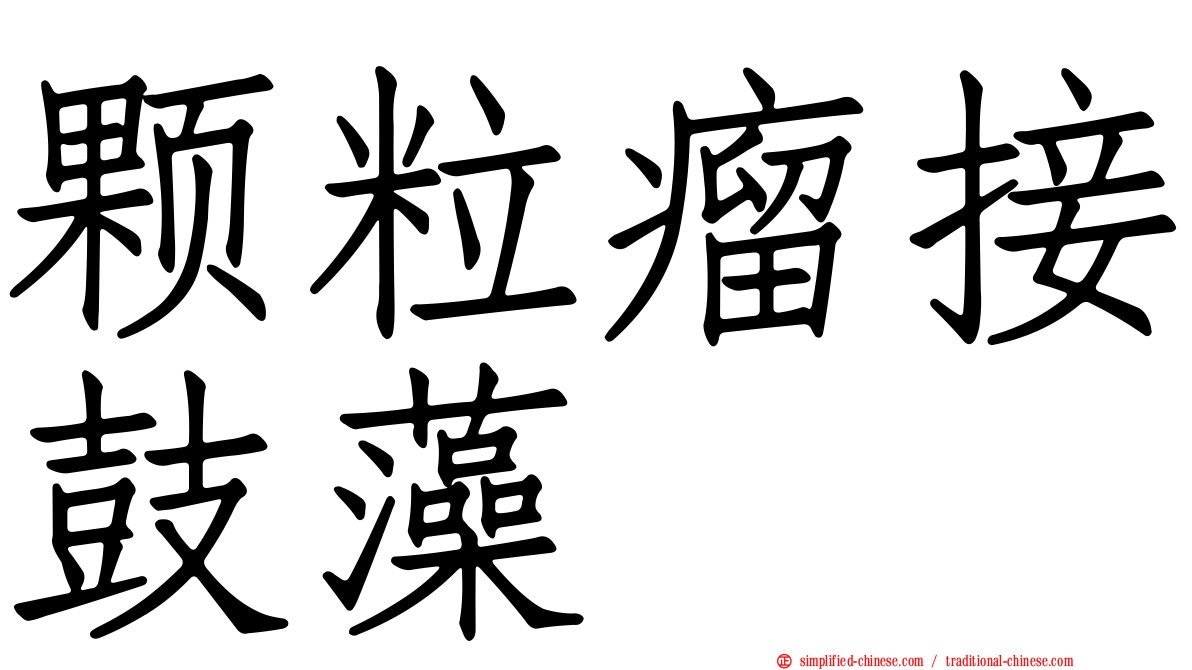 颗粒瘤接鼓藻