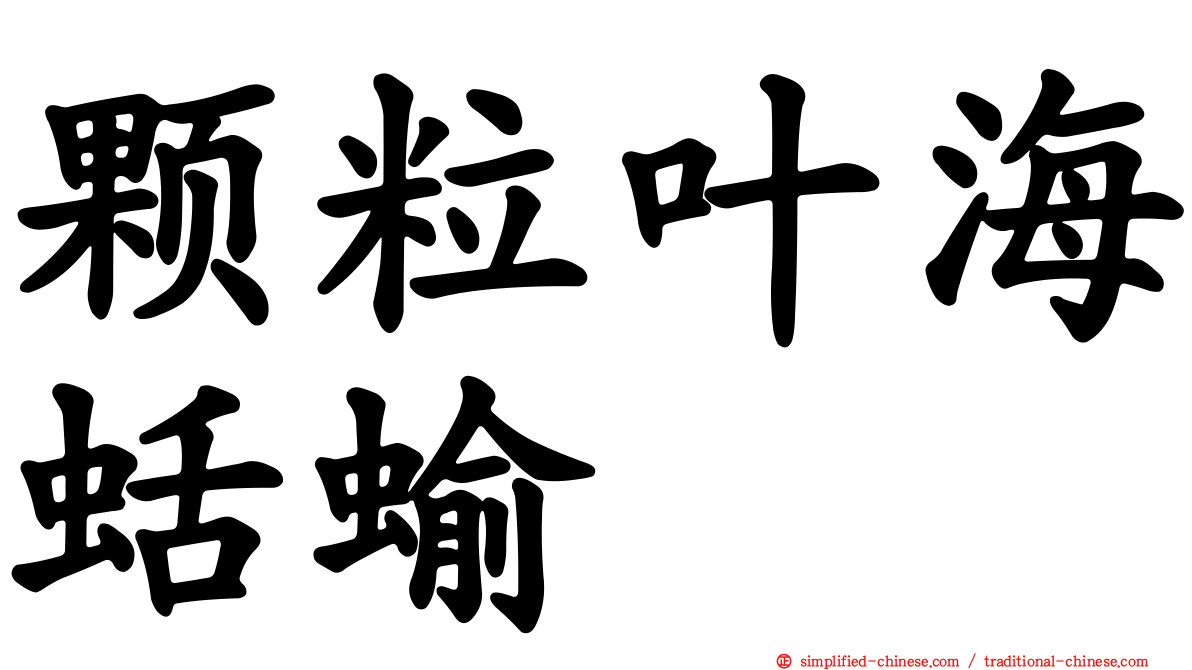 颗粒叶海蛞蝓