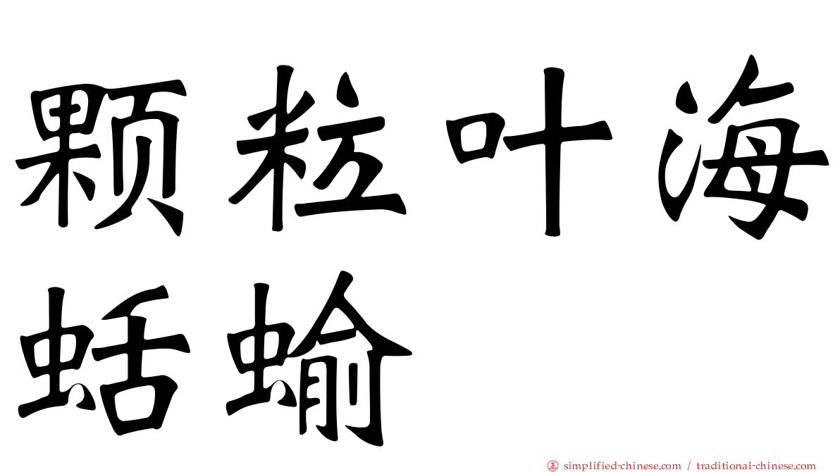 颗粒叶海蛞蝓