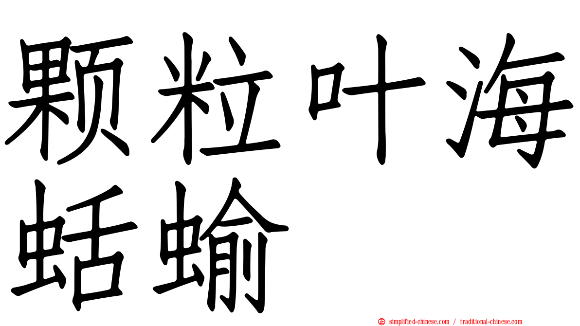 颗粒叶海蛞蝓