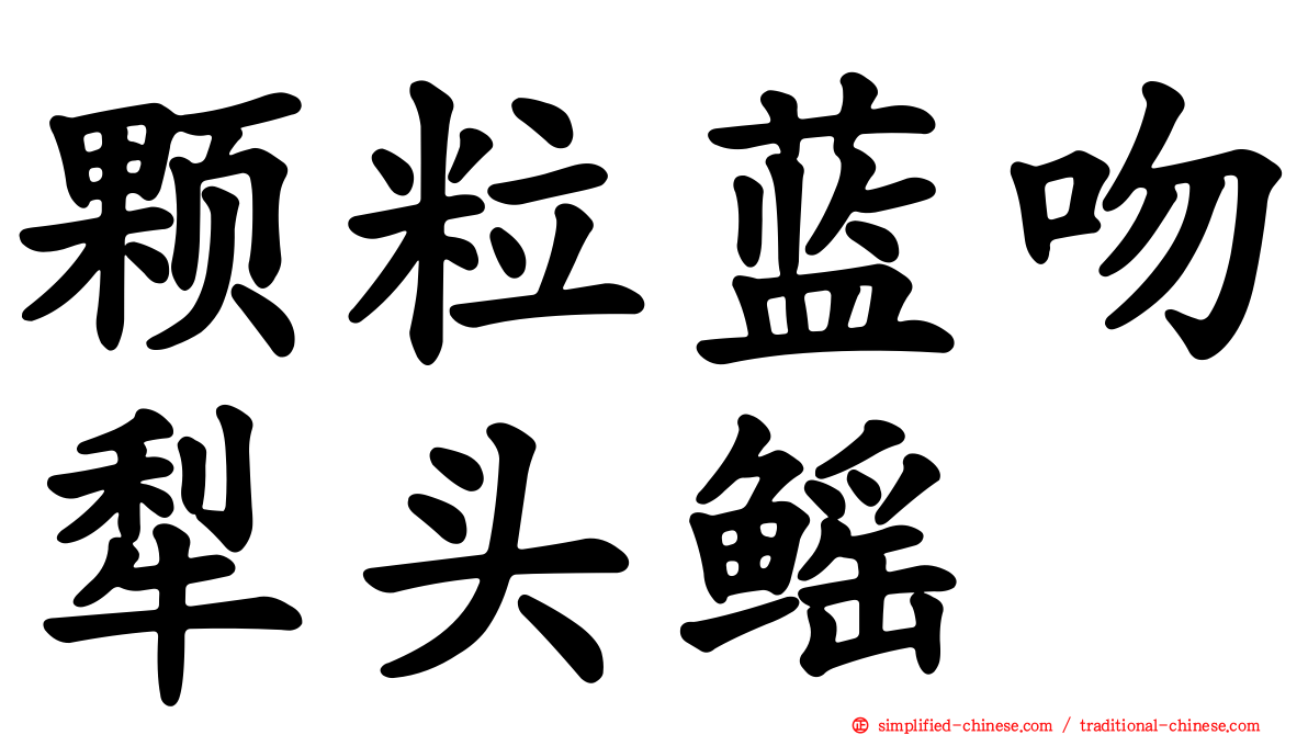 颗粒蓝吻犁头鳐