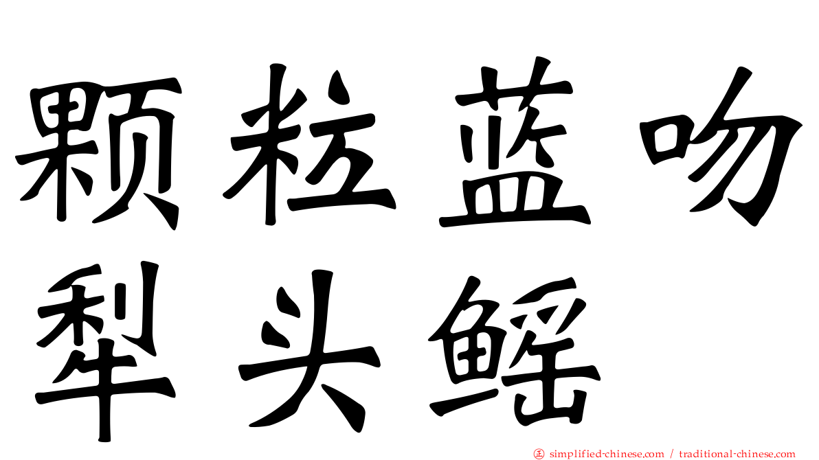 颗粒蓝吻犁头鳐