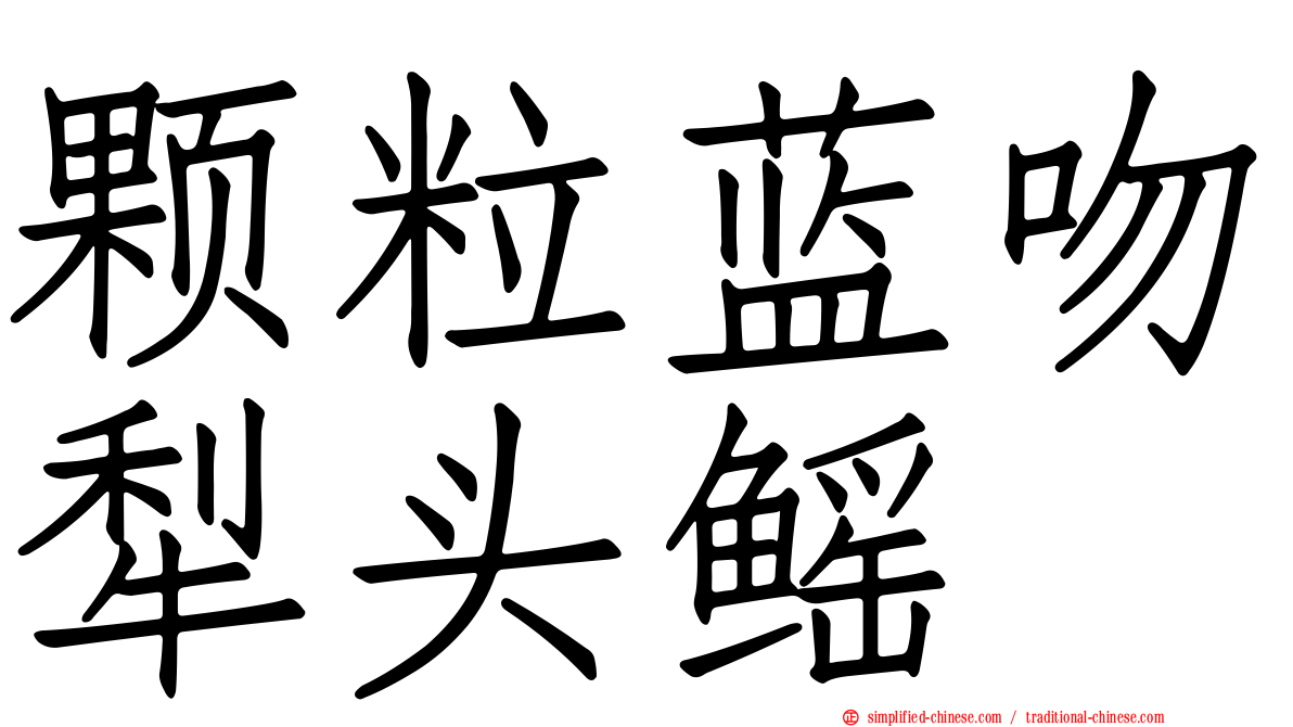 颗粒蓝吻犁头鳐
