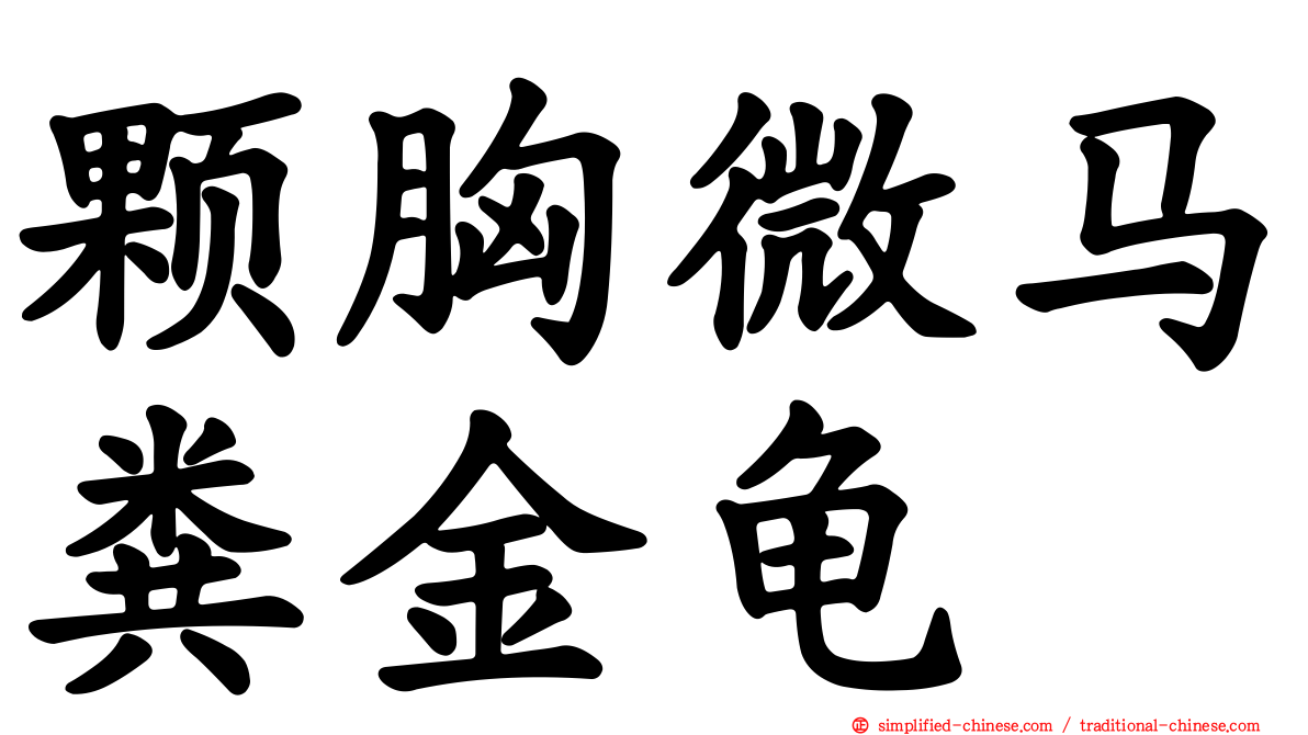 颗胸微马粪金龟