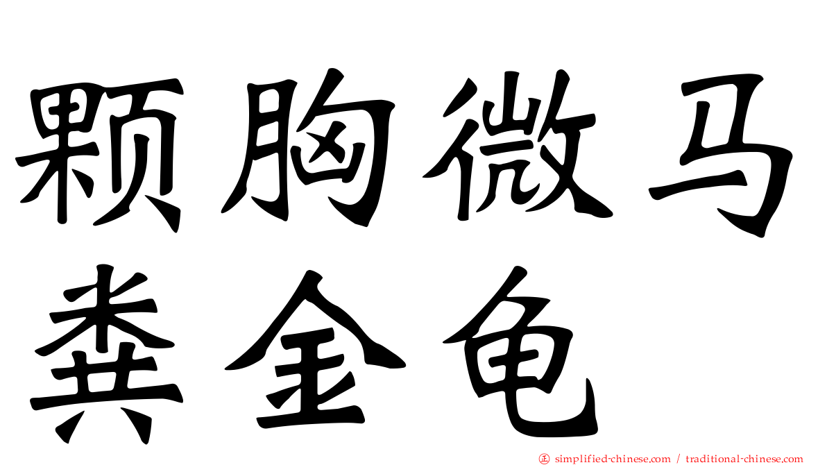 颗胸微马粪金龟