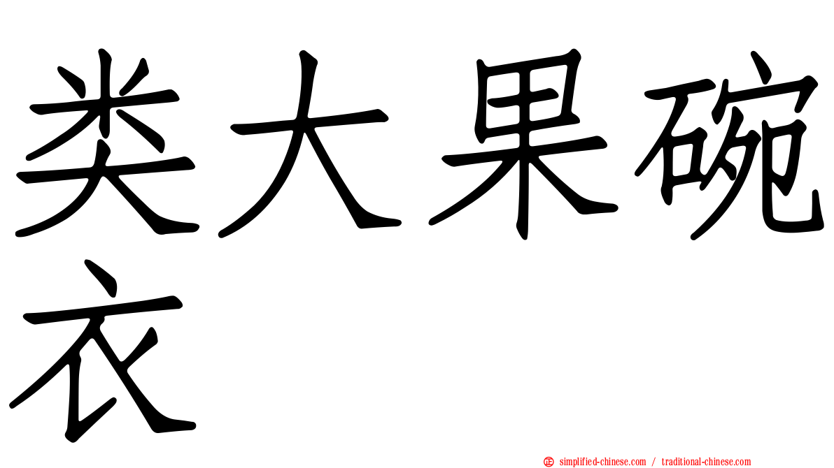 类大果碗衣