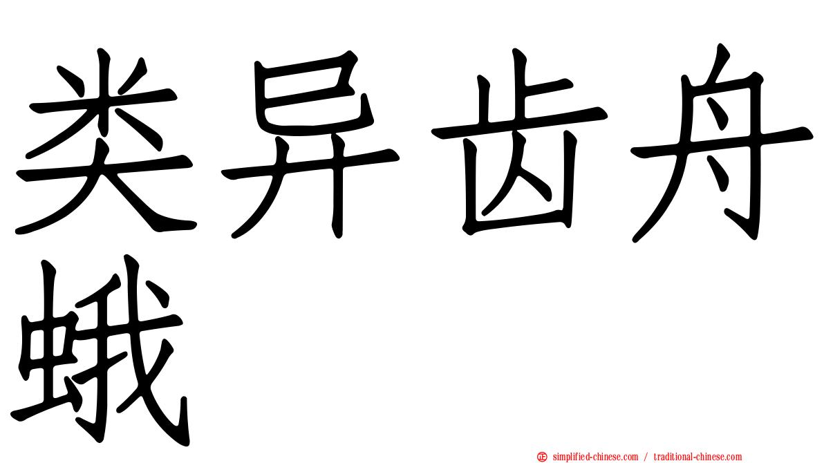 类异齿舟蛾