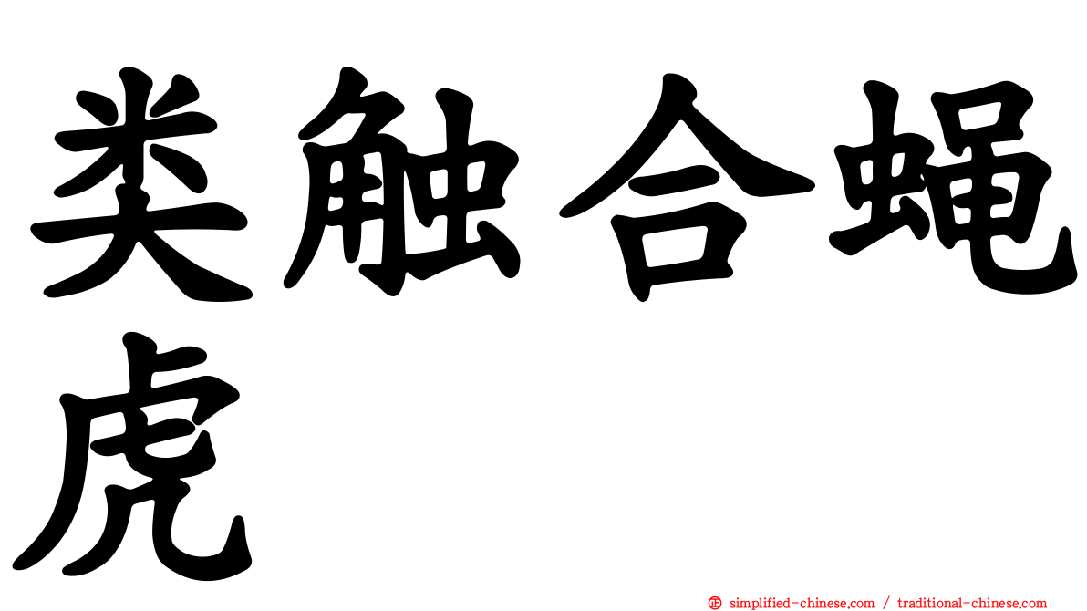 类触合蝇虎