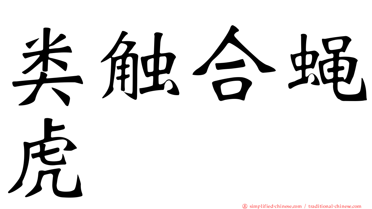 类触合蝇虎