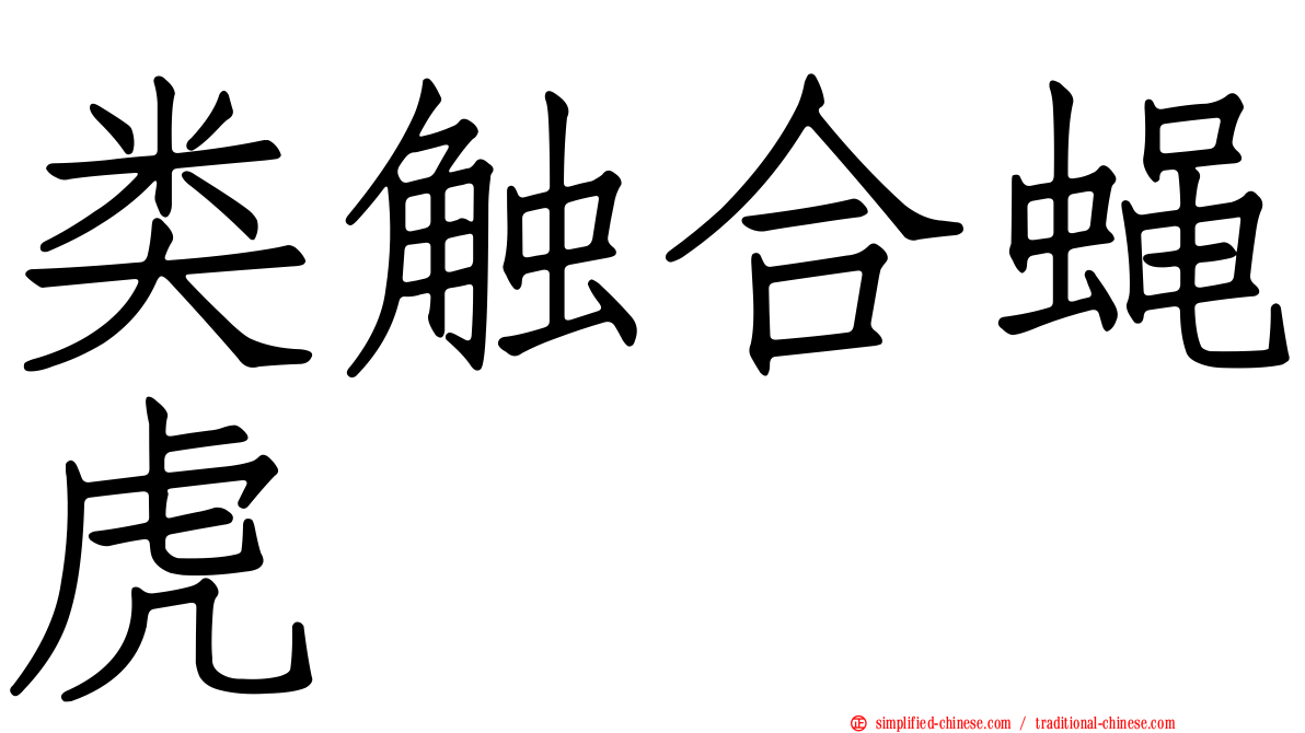 类触合蝇虎