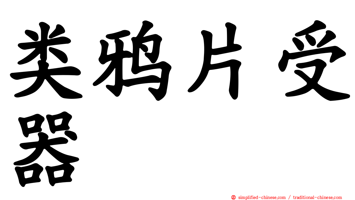 类鸦片受器