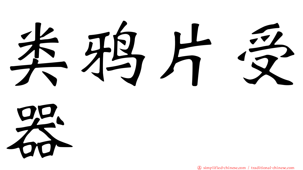 类鸦片受器
