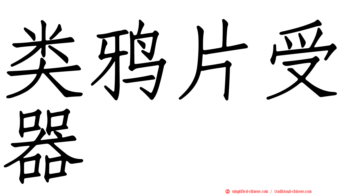 类鸦片受器