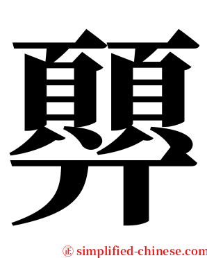顨 serif font