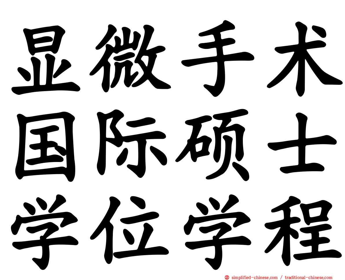 显微手术国际硕士学位学程