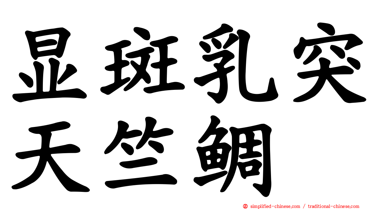 显斑乳突天竺鲷