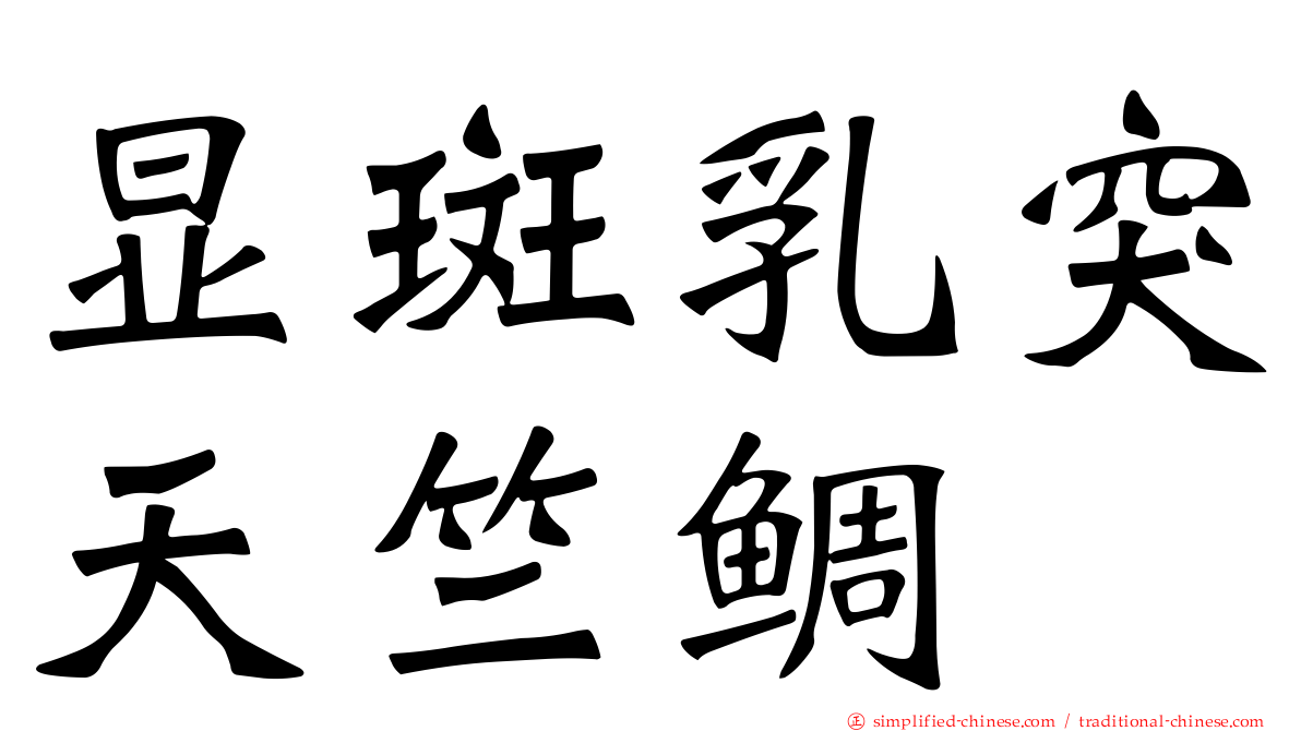显斑乳突天竺鲷