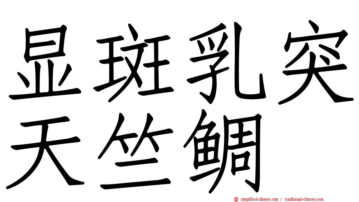 显斑乳突天竺鲷