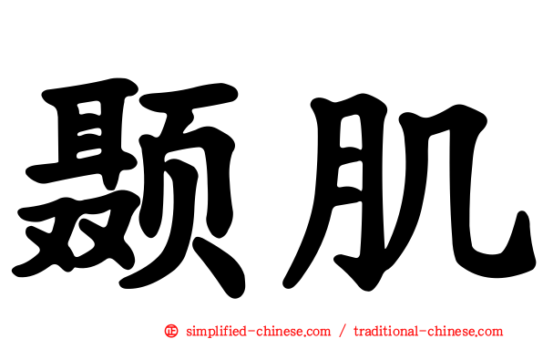 颞肌