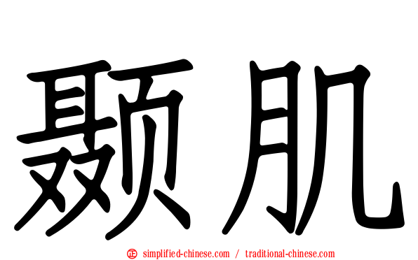 颞肌