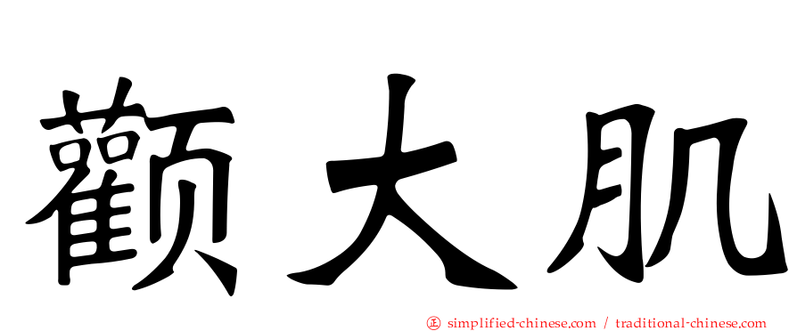 颧大肌