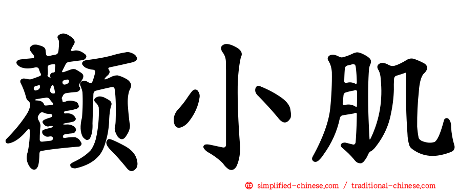 颧小肌