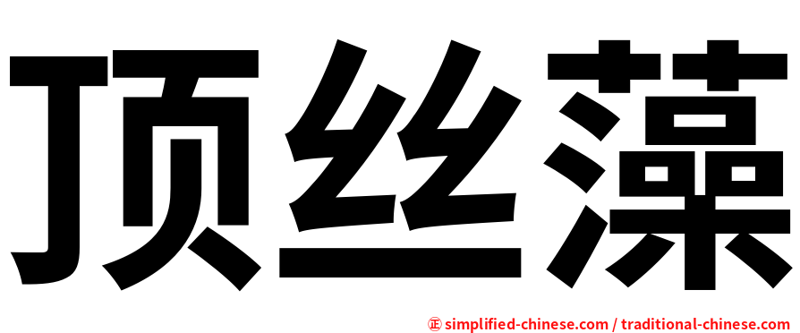顶丝藻