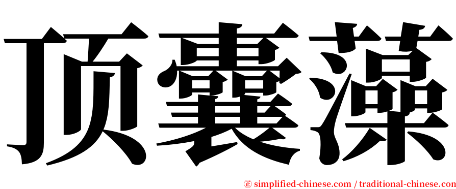顶囊藻 serif font
