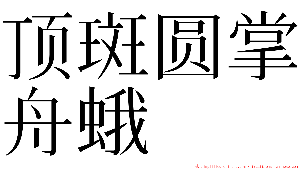 顶斑圆掌舟蛾 ming font