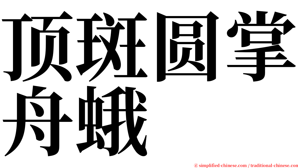 顶斑圆掌舟蛾 serif font