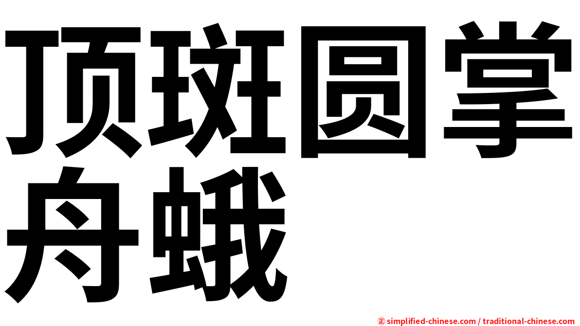 顶斑圆掌舟蛾