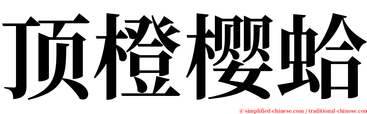 顶橙樱蛤 serif font
