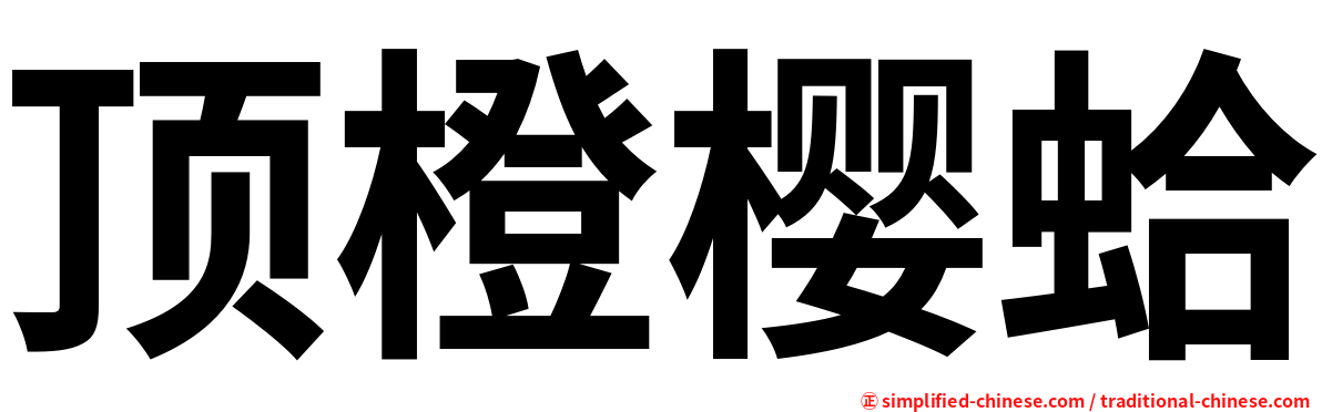 顶橙樱蛤