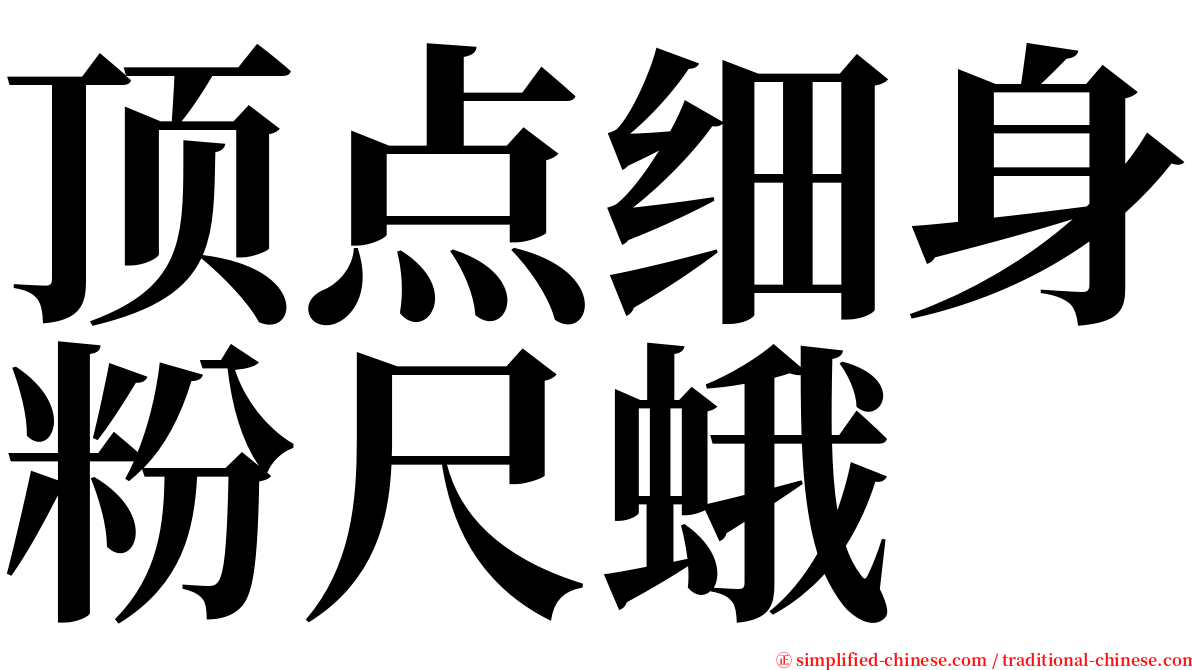 顶点细身粉尺蛾 serif font