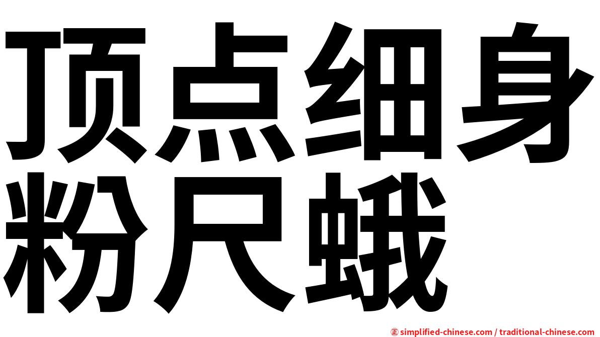 顶点细身粉尺蛾