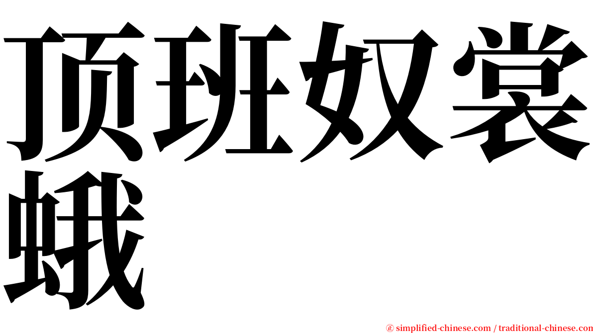 顶班奴裳蛾 serif font