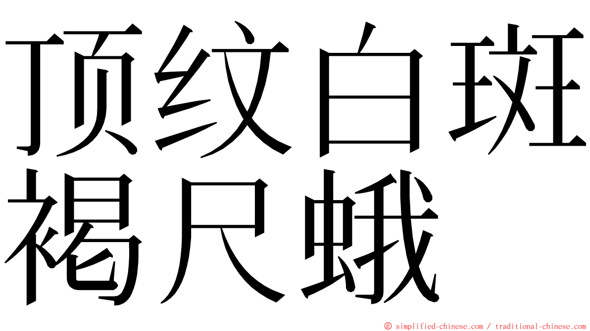 顶纹白斑褐尺蛾 ming font