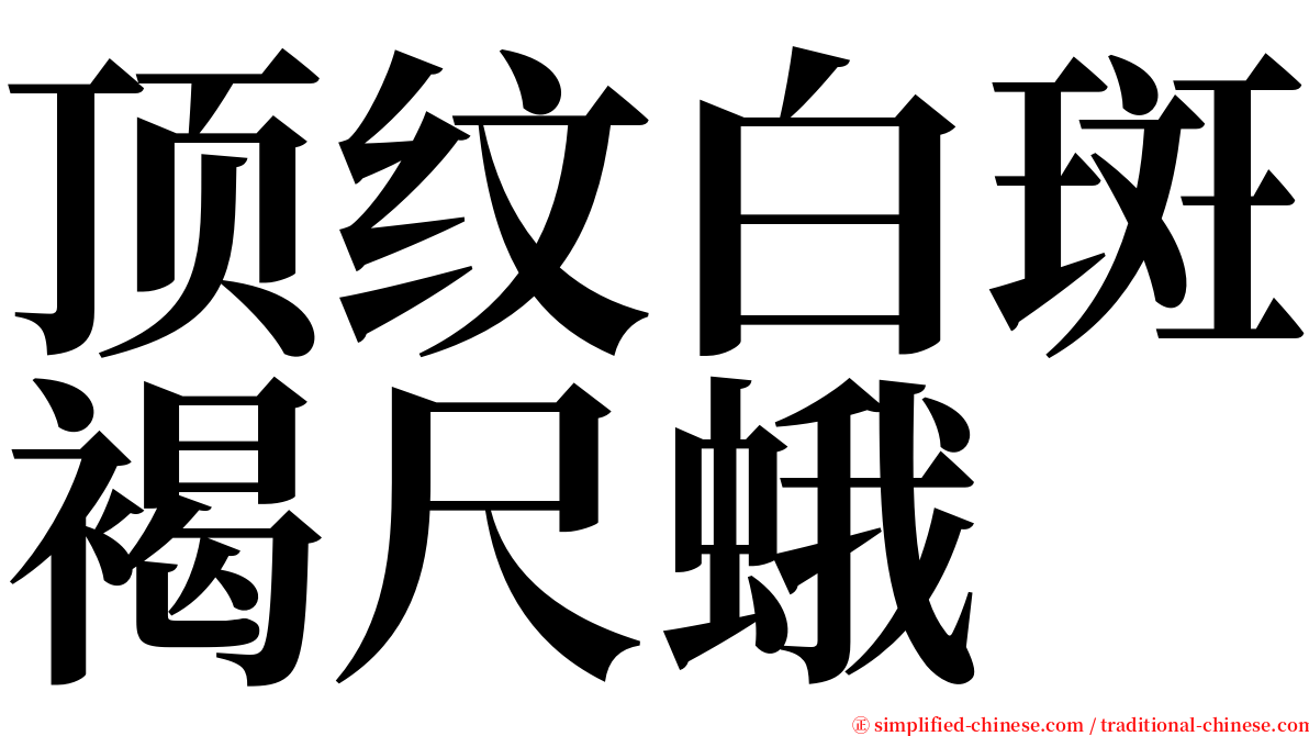 顶纹白斑褐尺蛾 serif font