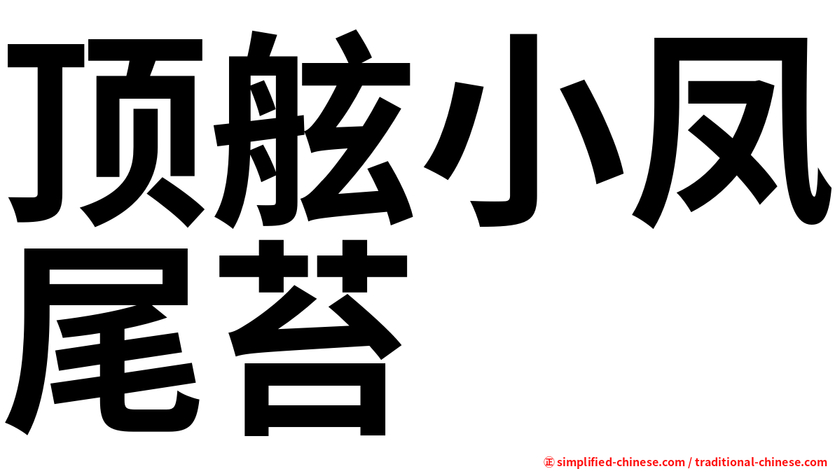 顶舷小凤尾苔