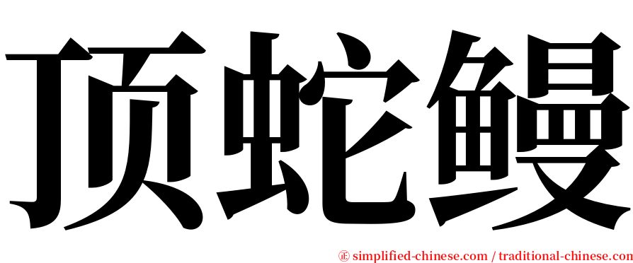 顶蛇鳗 serif font