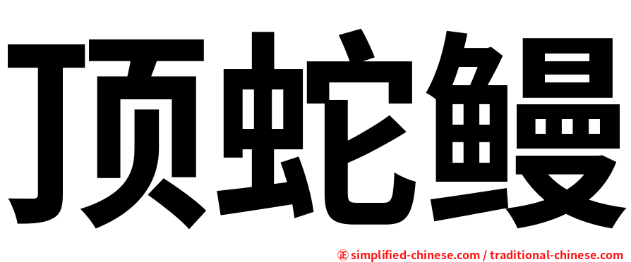 顶蛇鳗