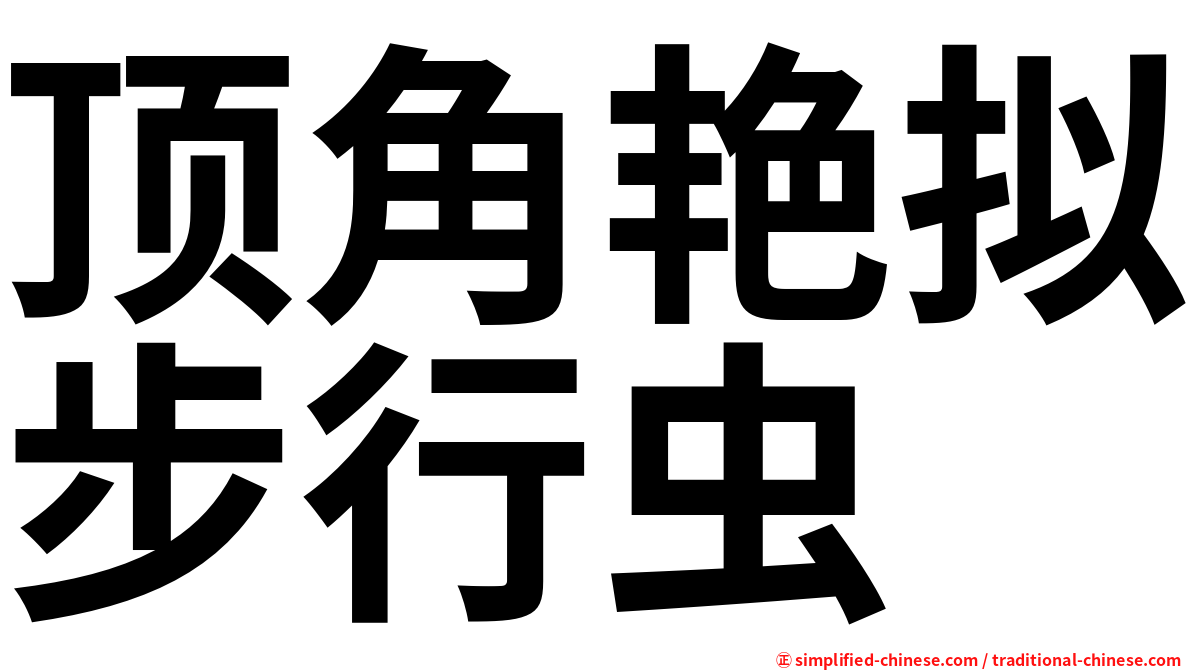 顶角艳拟步行虫