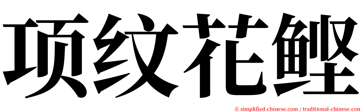 项纹花鲣 serif font