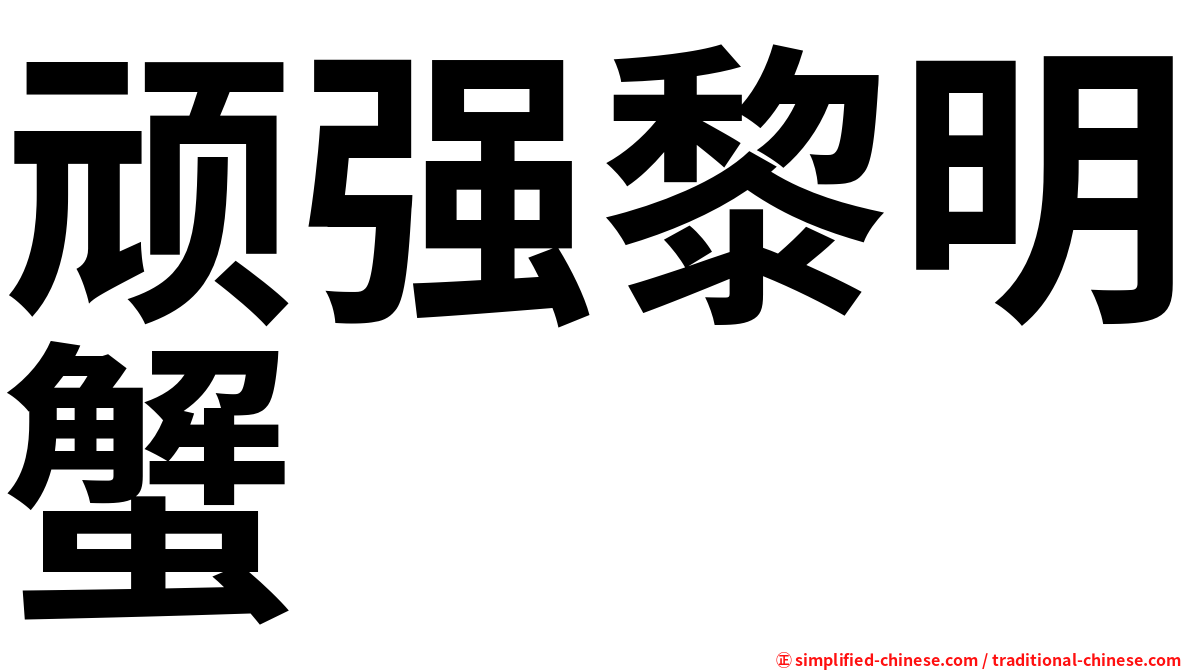 顽强黎明蟹