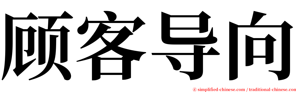 顾客导向 serif font