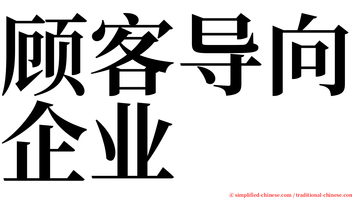 顾客导向企业 serif font